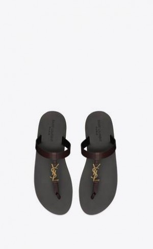 YSL Cassandre Slides In Smooth Leather Dark Brown | Philippines_YSL65840