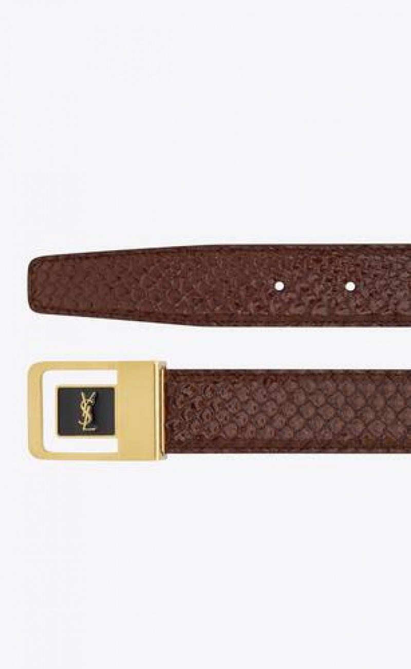 YSL La 66 Buckle Python Brown Black | Philippines_YSL49119